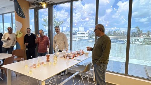 Another image from the Passover 2026 gallery - 6 / 6
